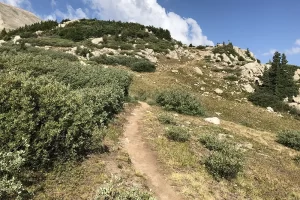 Heading up to the ridge in San Isabela National Forest. Get Lost in America