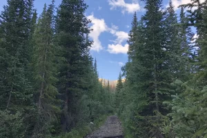 Trail to Tunnel Lake is and old narrow gauge railroad bed leading to Leadville. Get Lost in America