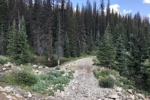 What was known as Sawmill Curve on the old Rail line. Get Lost in America