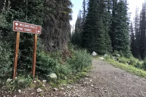 Junction for Williams Pass. A Colorado and Continental Alternate. Get Lost in America