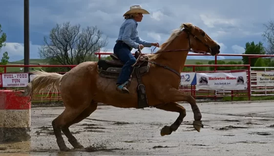 History of High School Rodeo. Get Lost in America