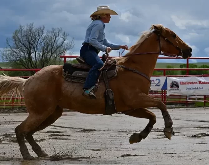 History of High School Rodeo. Get Lost in America