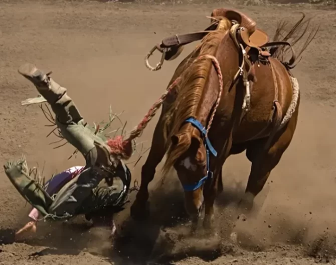 Ride Through Rodeo History, from its humble beginnings on dusty ranches to its evolution into a thrilling professional sport. Get Lost in America