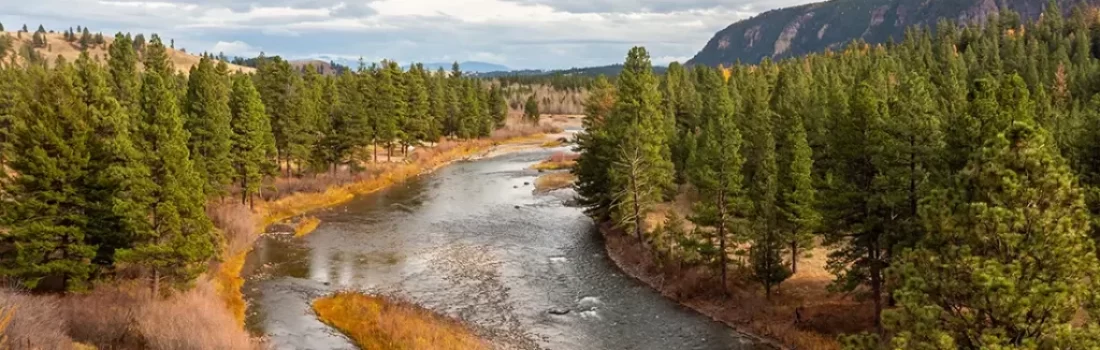 Our DIY Guide fly fishing Blackfoot River Montana. This guide has everything from choosing the perfect flies to gear recommendations.