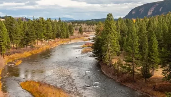 Our DIY Guide fly fishing Blackfoot River Montana. This guide has everything from choosing the perfect flies to gear recommendations.