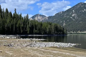 More of Hebgen Lakes shoreline. Get Lost in America.