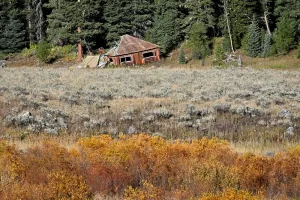 Fly Fishing Camping Hebgen Lake Recreation Area Get Lost in America -20. 3