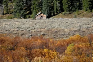 Fly Fishing Camping Hebgen Lake Recreation Area Get Lost in America -21. 3