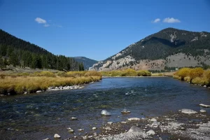 Gallatin River offers the DIY angler lost of water with a lot less fly fishers than the Firehole or Madison River. Get Lost in America