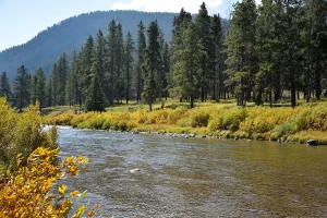 Gallatin River in Yellowstone National Park, Fly Fishing Paradise. Get Lost in America