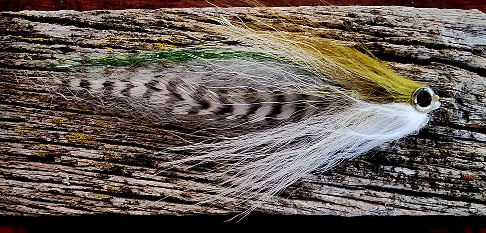 Pseudo Secret Olive Baitfish Pattern for Florida Bass Fly Fishing