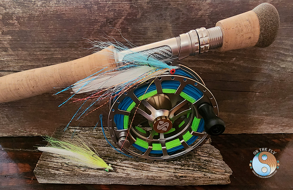 7-Weight Saltwater Fly Rod & Spectre Saltwater Fly Line with Clouser Minnow Variant. Bass Fly Fishing in Texas