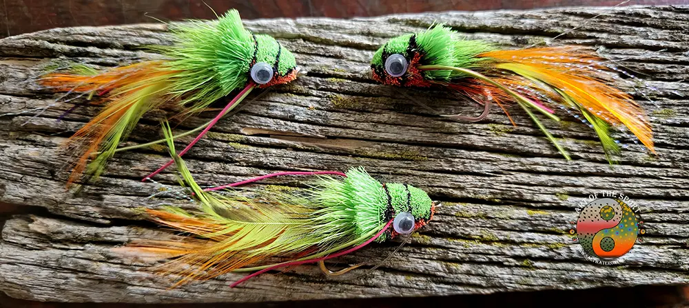 Bass Fly Pattern