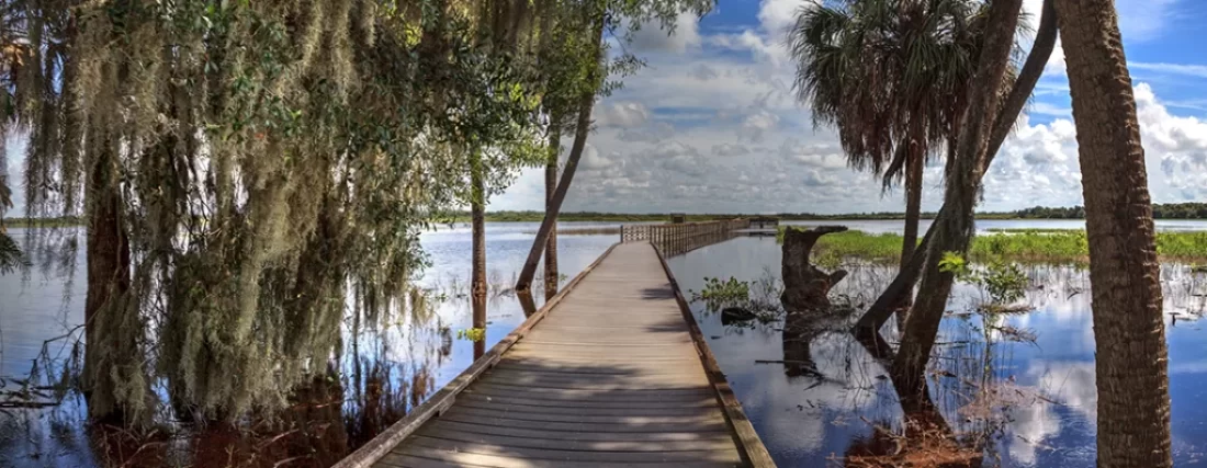 Explore Florida's 175 State Parks, Myakka River State Park