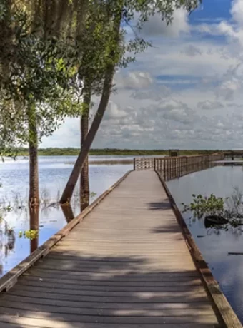 Explore Florida's 175 State Parks, Myakka River State Park