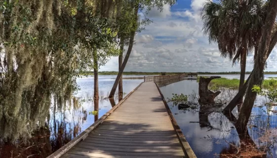 Explore Florida's 175 State Parks, Myakka River State Park