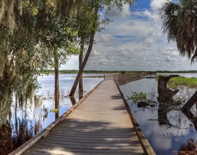 Explore Florida's 175 State Parks, Myakka River State Park