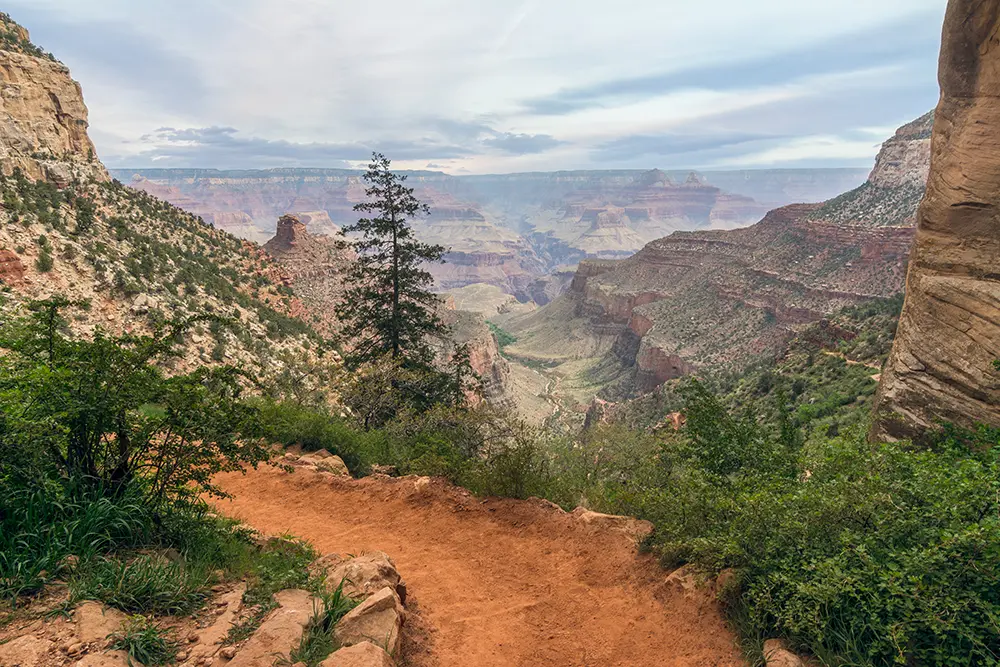 Rim to Rim Trail View