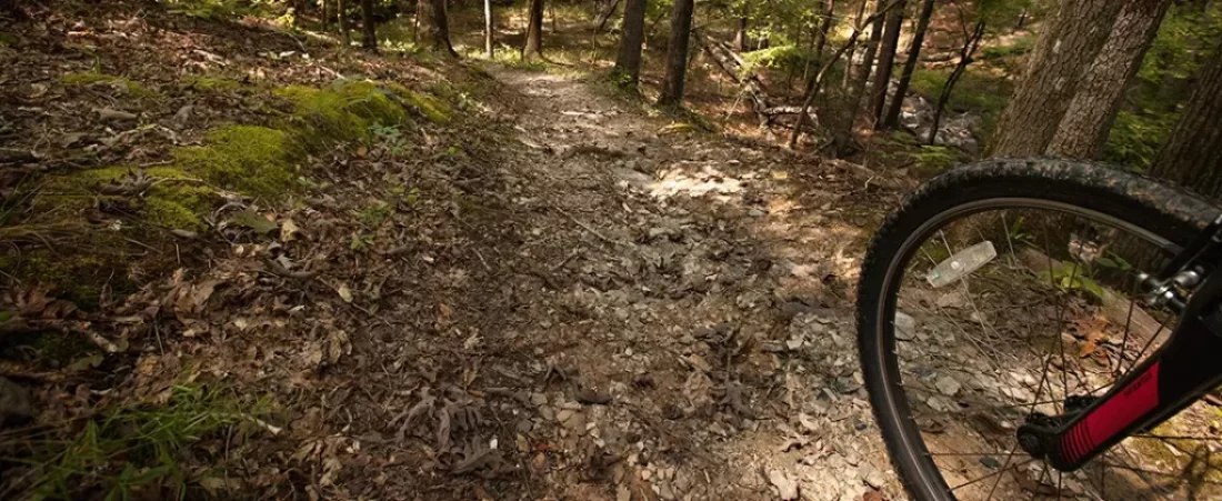 Arkansas Mountain Biking Trails. Get Lost in America