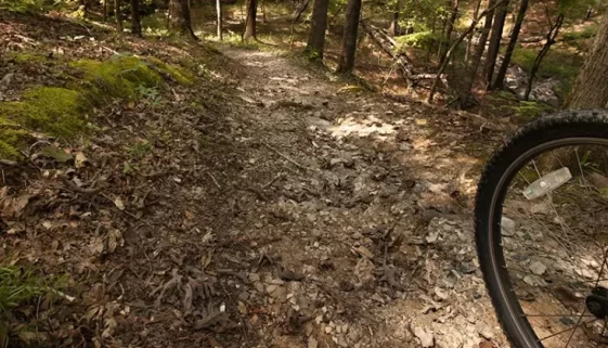 Arkansas Mountain Biking Trails. Get Lost in America