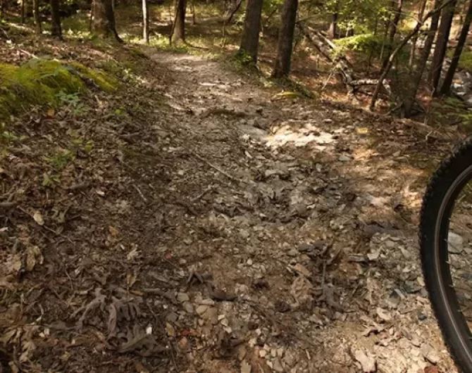 Arkansas Mountain Biking Trails. Get Lost in America