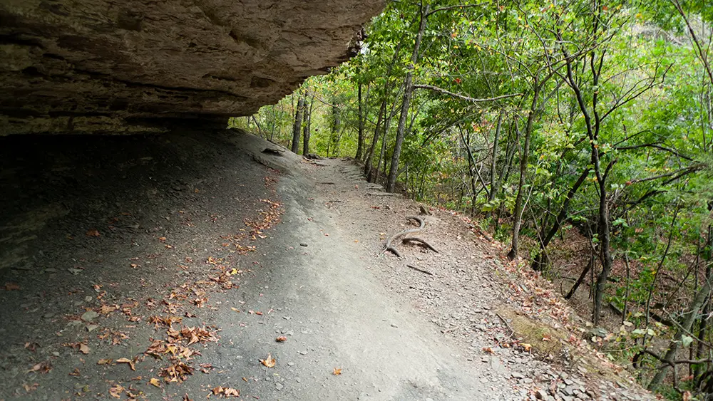 Devil's Den Mountain Biking Arkansas