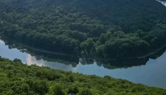 Fly Fish Muskie in Pennsylvania adventure. Learn the best spots, proven fly patterns, and essential tips for targeting Pennsylvania Muskie. Saltwater on the fly.