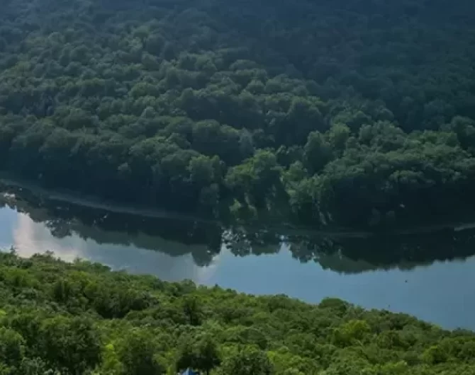 Fly Fish Muskie in Pennsylvania adventure. Learn the best spots, proven fly patterns, and essential tips for targeting Pennsylvania Muskie. Saltwater on the fly.