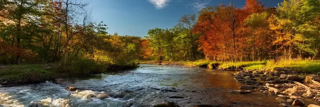 Discover the best places to Fly Fish Iowa, from hidden trout streams to big bass lakes. Explore, gear recommendations, tips to fly fishing adventure in Iowa. Get Lost in America.