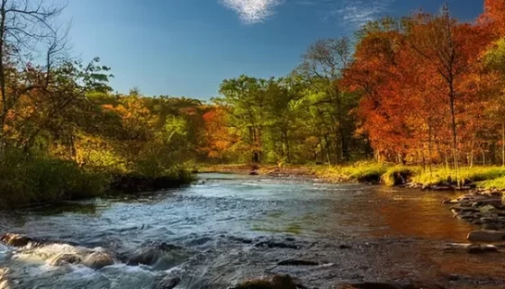 Discover the best places to Fly Fish Iowa, from hidden trout streams to big bass lakes. Explore, gear recommendations, tips to fly fishing adventure in Iowa. Get Lost in America.