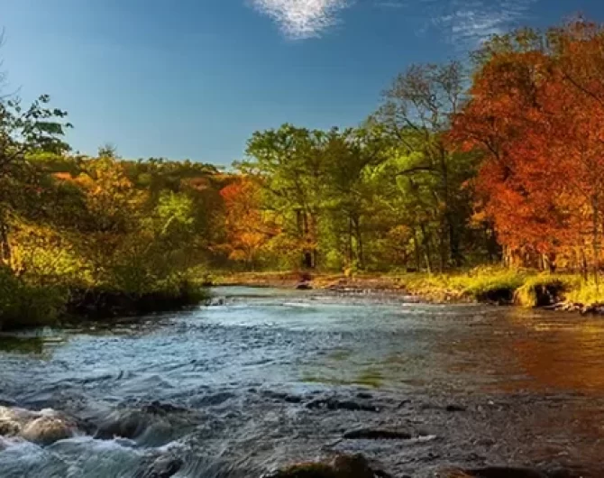 Discover the best places to Fly Fish Iowa, from hidden trout streams to big bass lakes. Explore, gear recommendations, tips to fly fishing adventure in Iowa. Get Lost in America.