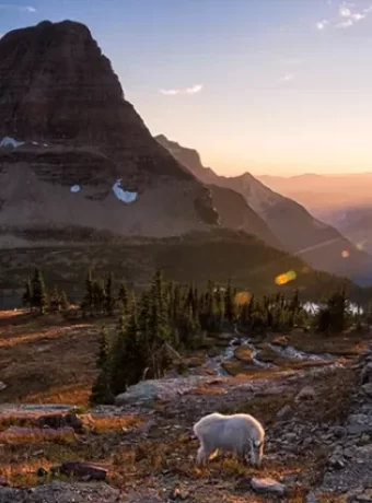 Explore Glacier National Park History from its geological formation & Native American heritage to establishment as a national park. Get Lost in America