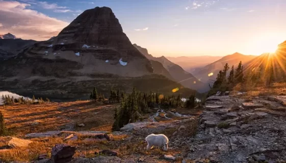 Explore Glacier National Park History from its geological formation & Native American heritage to establishment as a national park. Get Lost in America