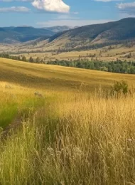 Montana Mountain Biking Trails - Helena's South Hills to the Continental Divide. Find the perfect trail for your skill level with this comprehensive rider's guide.