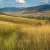 Montana Mountain Biking Trails - Helena's South Hills to the Continental Divide. Find the perfect trail for your skill level with this comprehensive rider's guide.