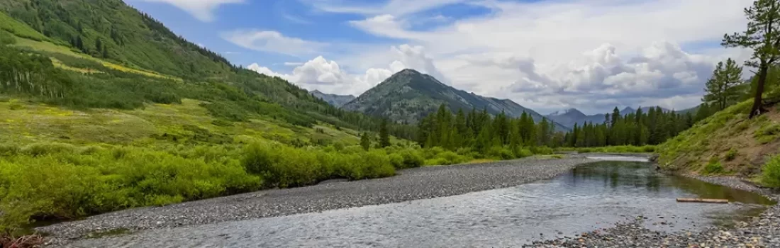 Tips for fly fishing Almont and Crested Butte Colorado. From pristine rivers to alpine lakes, experience world-class angling.