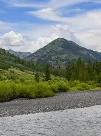 Tips for fly fishing Almont and Crested Butte Colorado. From pristine rivers to alpine lakes, experience world-class angling.