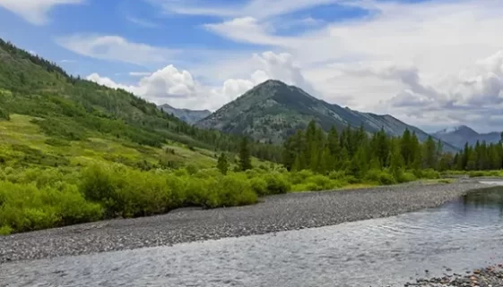 Tips for fly fishing Almont and Crested Butte Colorado. From pristine rivers to alpine lakes, experience world-class angling.