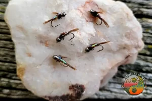 Black Beadhead Pheasant tails,