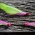 Chartreuse Hot Pink Clouser Minnow Bunny