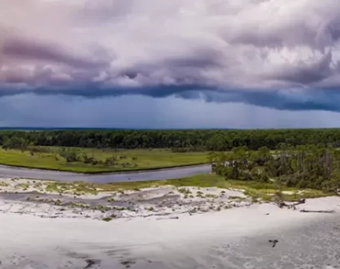 DIY fly fishing trip redfish and stripers in South Carolina. Guide covers everything from gear to fly fishing spots & flies for a success.