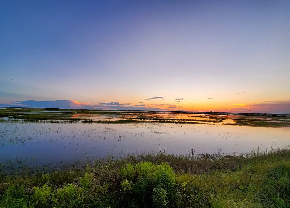 Hunting Island State Park