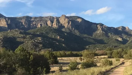 Mountain Biking New Mexico with our comprehensive guide. From beginner paths to expert routes, explore stunning scenery and thrilling rides