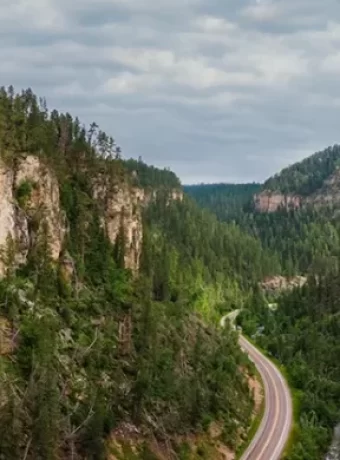 Discover diverse landscapes and adventures in South Dakota State Parks. Iconic wildlife to hidden gems, plan your perfect outdoor Adventure.