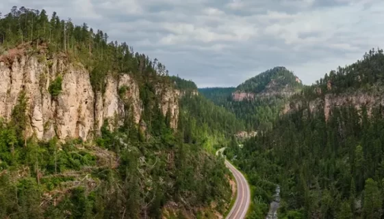 Discover diverse landscapes and adventures in South Dakota State Parks. Iconic wildlife to hidden gems, plan your perfect outdoor Adventure.