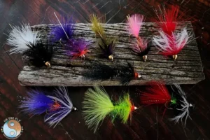 Woolly Bugger variations 5 Woolly Buggers On all Cabinet Mountains Wilderness Trails Adventures. Get Lost in America.