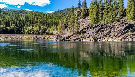 Yaak River fly fishing adventure! This guide covers everything from best times to fish and essential gear to nearby hiking and the unique local culture. Discover this Montana gem