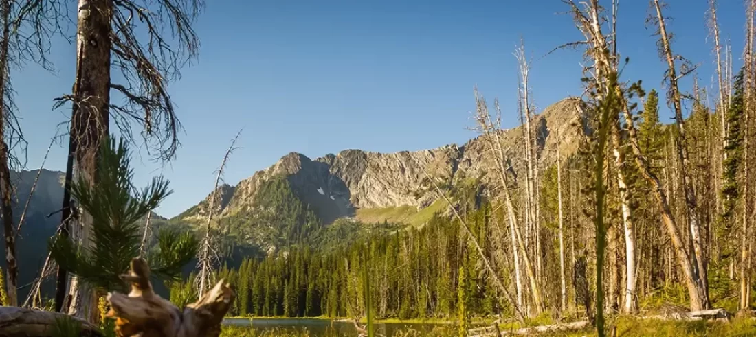 Anaconda-Pintler Wilderness. Discover the rich history of the Anaconda-Pintler Wilderness and top 10 hiking trails. Experience Montana's natural beauty and fascinating past.