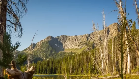 Anaconda-Pintler Wilderness. Discover the rich history of the Anaconda-Pintler Wilderness and top 10 hiking trails. Experience Montana's natural beauty and fascinating past.