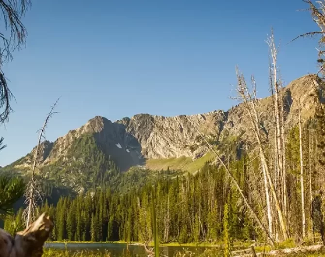 Anaconda-Pintler Wilderness. Discover the rich history of the Anaconda-Pintler Wilderness and top 10 hiking trails. Experience Montana's natural beauty and fascinating past.